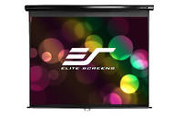 Elite Screens M99NWS1