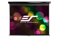 Elite Screens M119UWS1